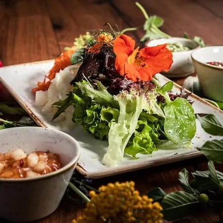 酒店 阿德勒酒店 Ziemetshausen