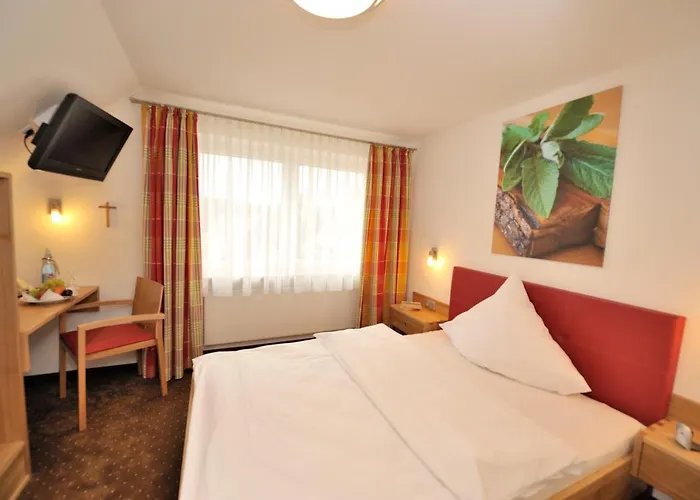 Adler Hotel 3*
